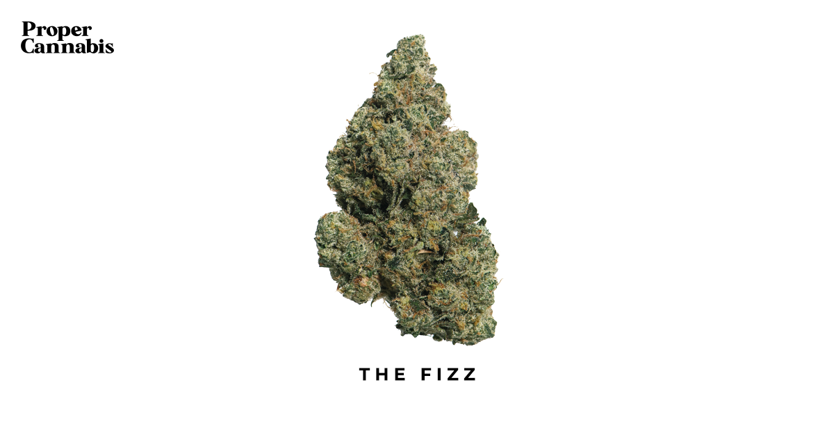 The Fizz Strain Proper Cannabis