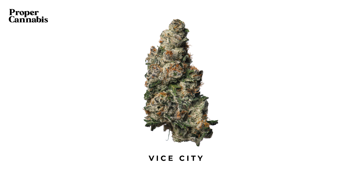 Vice City Strain | Proper Cannabis