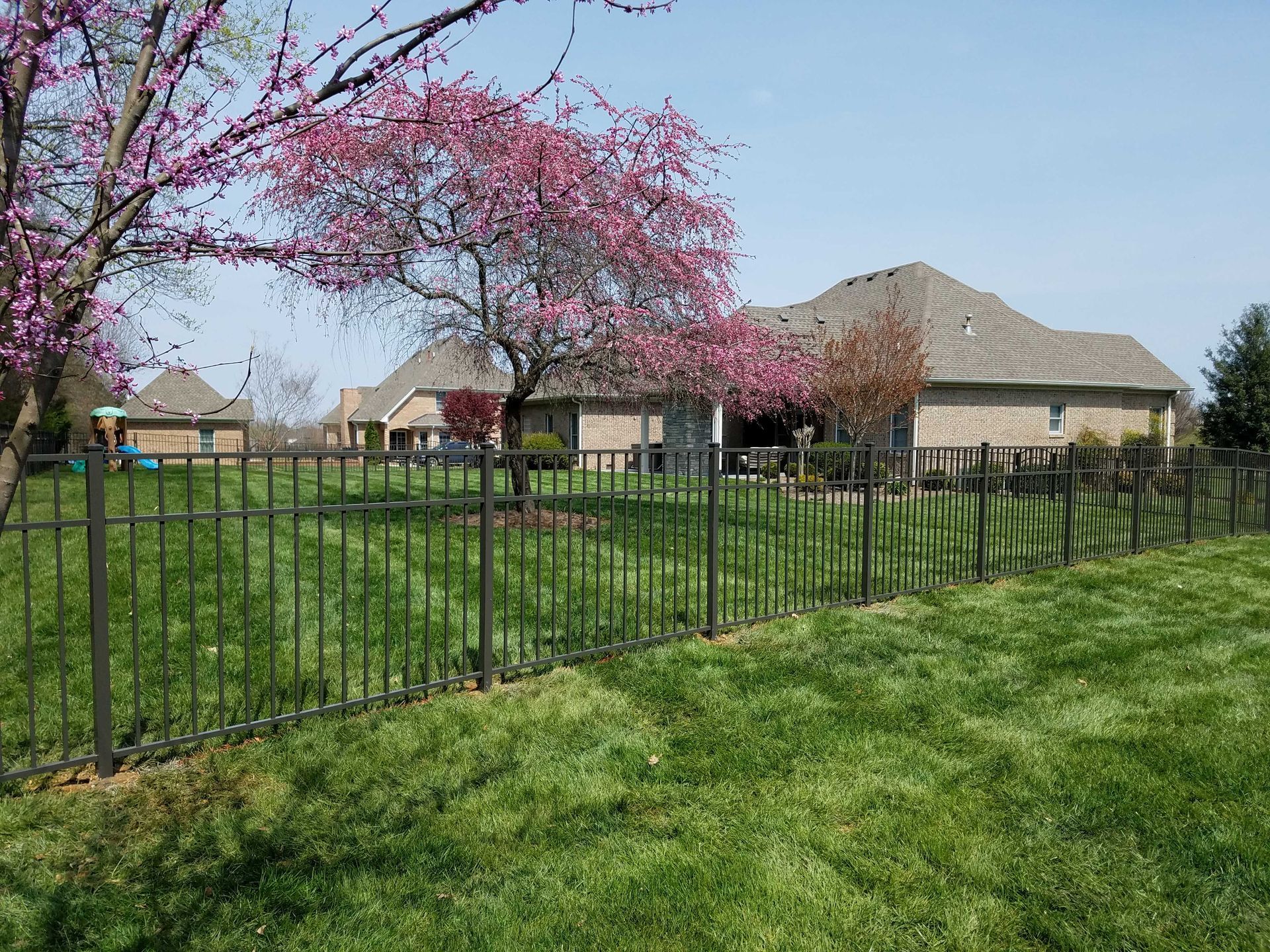 A brown metal fence surrounds a green grassy yard in front of houses under a blue sky, with a flowering tree.