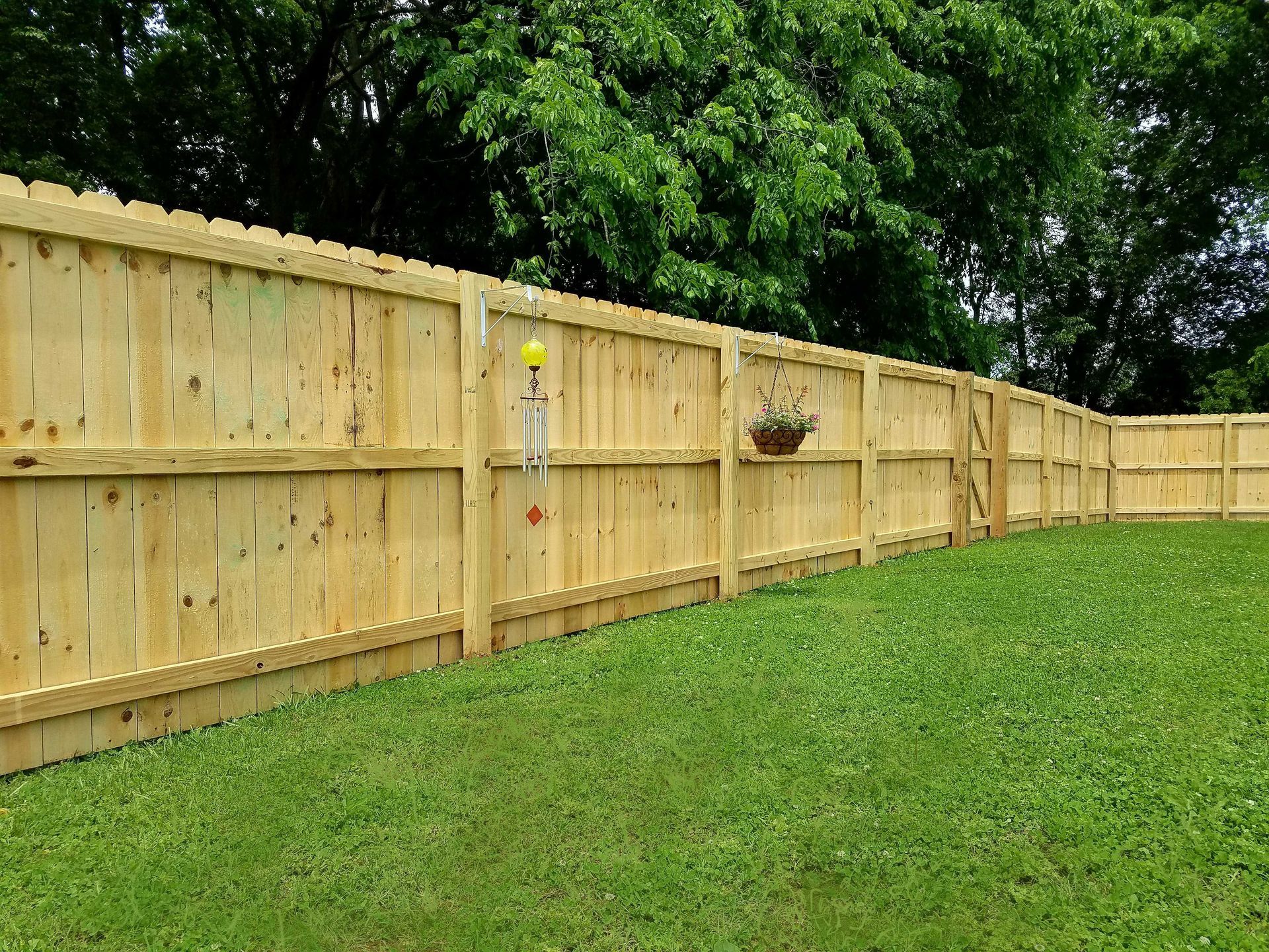 Wooden fence enclosing a grassy yard with green trees in the background.