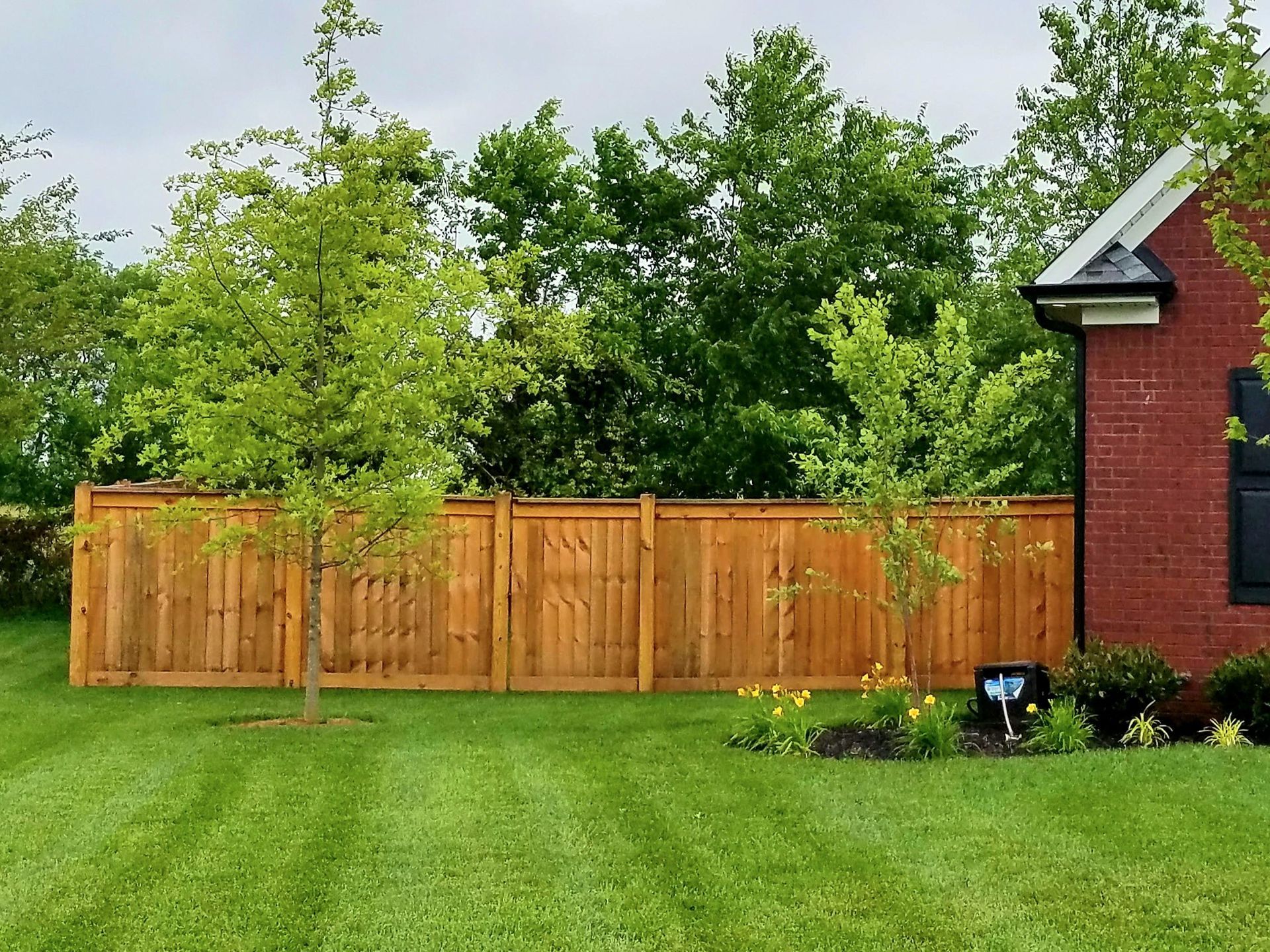 Wooden fence in a yard with lush green grass and trees, next to a red brick house.