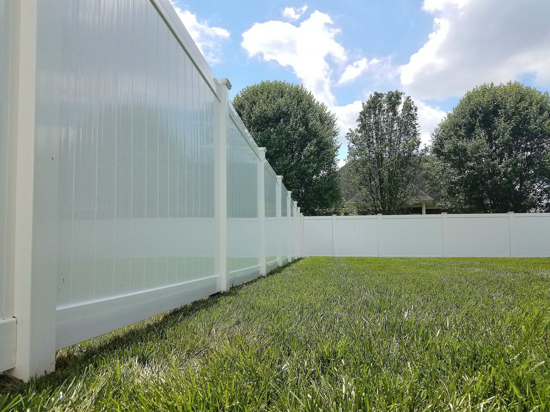 White vinyl privacy fence in a grassy yard under a blue sky with trees.