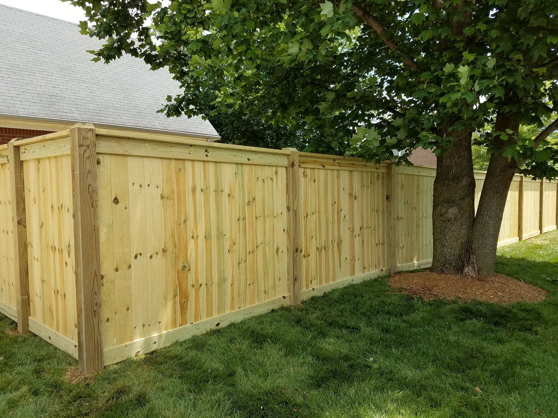 Wooden privacy fence along green grass, with a tree in the corner, sunny day.