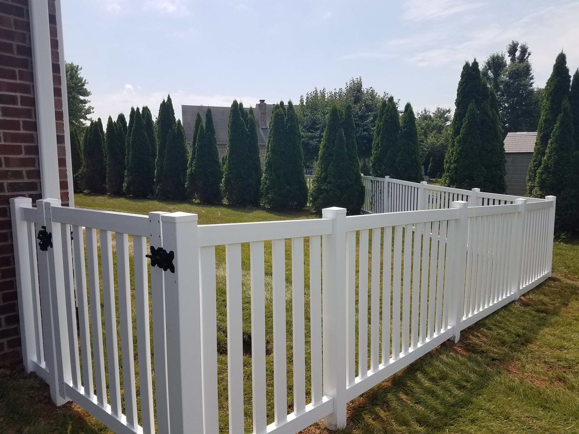White picket fence in a backyard, partially enclosing a grassy area with evergreen trees in the background.