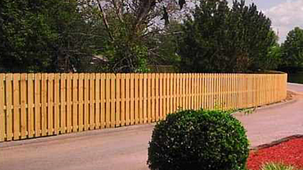 A long wooden fence curves alongside a paved road, with trees in the background and a shrub in the foreground.