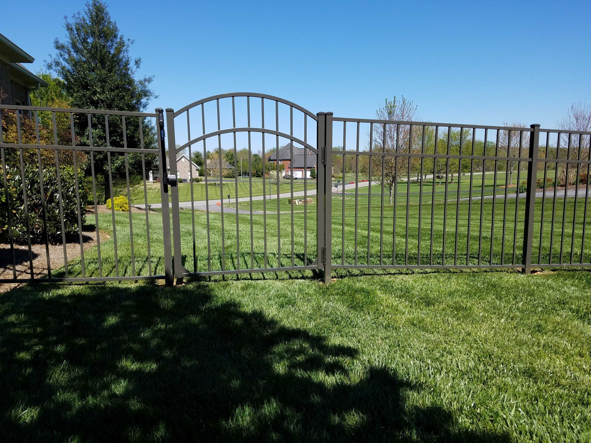 Metal fence and gate enclosing a grassy yard under a clear blue sky.