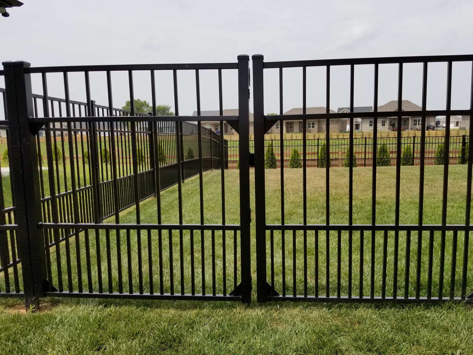 Black metal fence with gate in backyard with green grass.