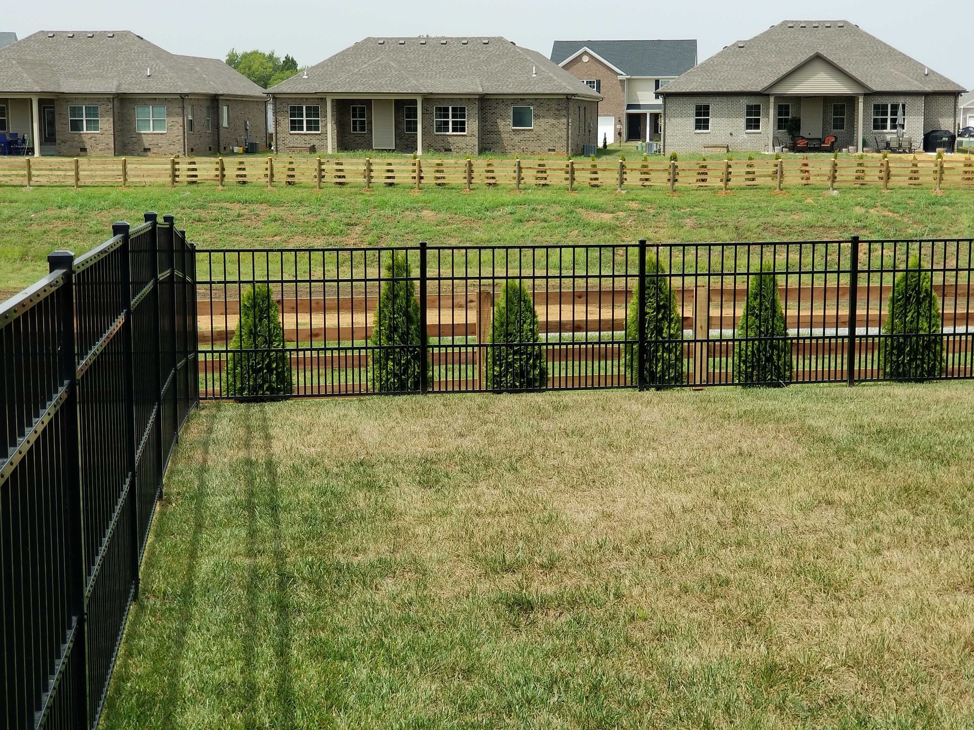 Black metal fence with green grass in front of it, with houses in the background.