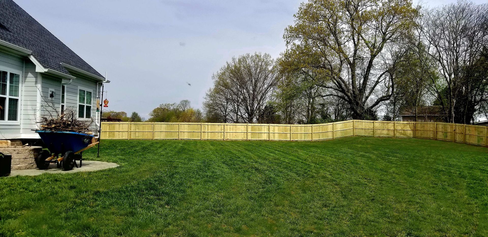 A backyard with a wooden fence, green lawn, a house on the left, and trees under a cloudy sky.