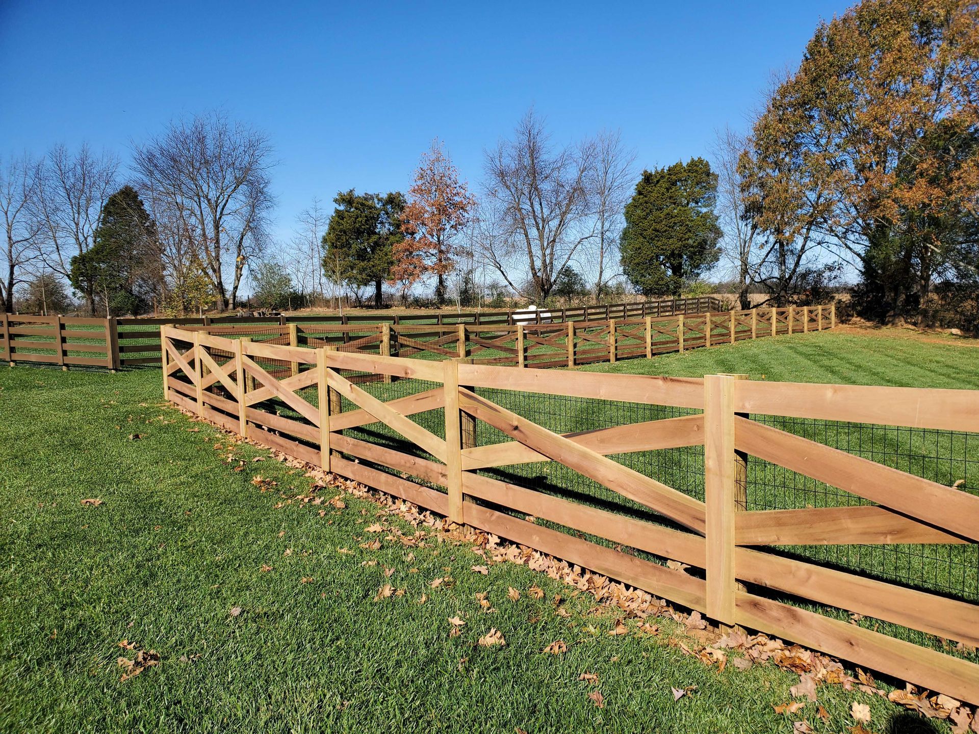 Wooden fence in a grassy field, trees in background, clear blue sky.