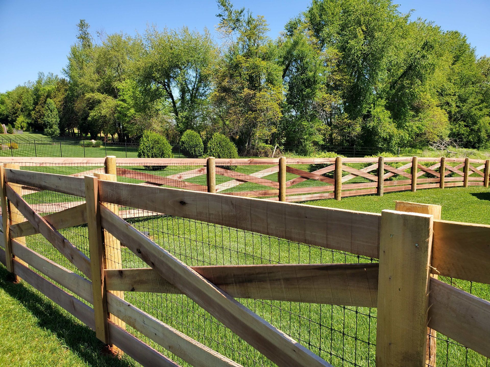 Wooden fence with wire mesh in a grassy field, trees in the background under a bright blue sky.