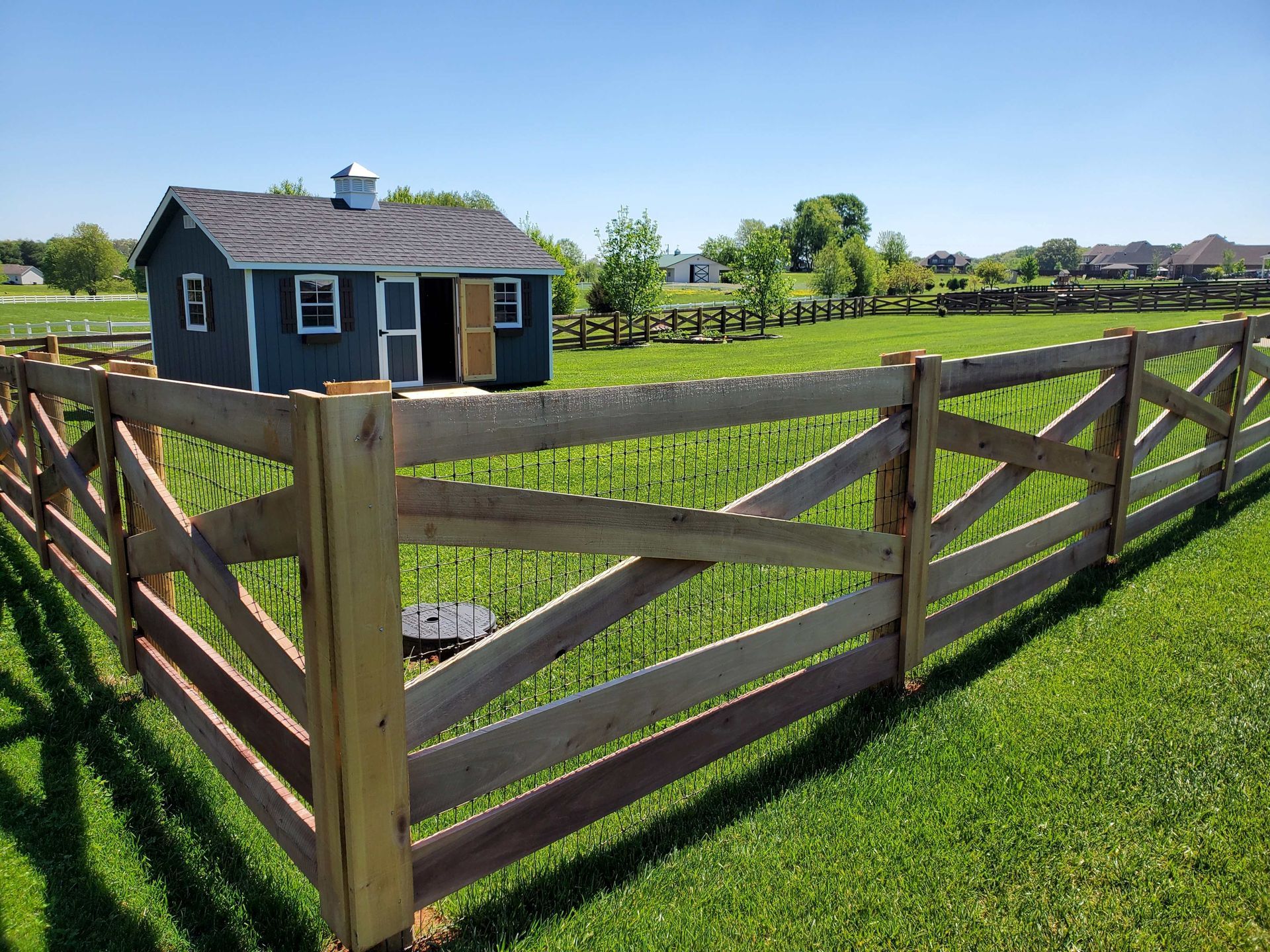 Wooden fence surrounds a small blue shed on a grassy field, sunny day.