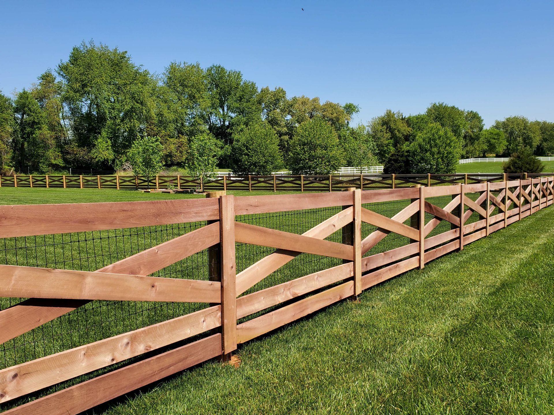 Wooden fence in a grassy field, trees in the background, blue sky.
