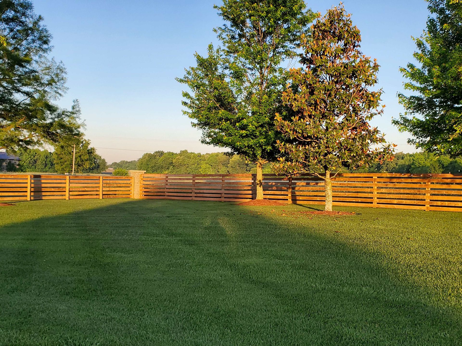 Lawn with wooden fence and trees bathed in sunlight.