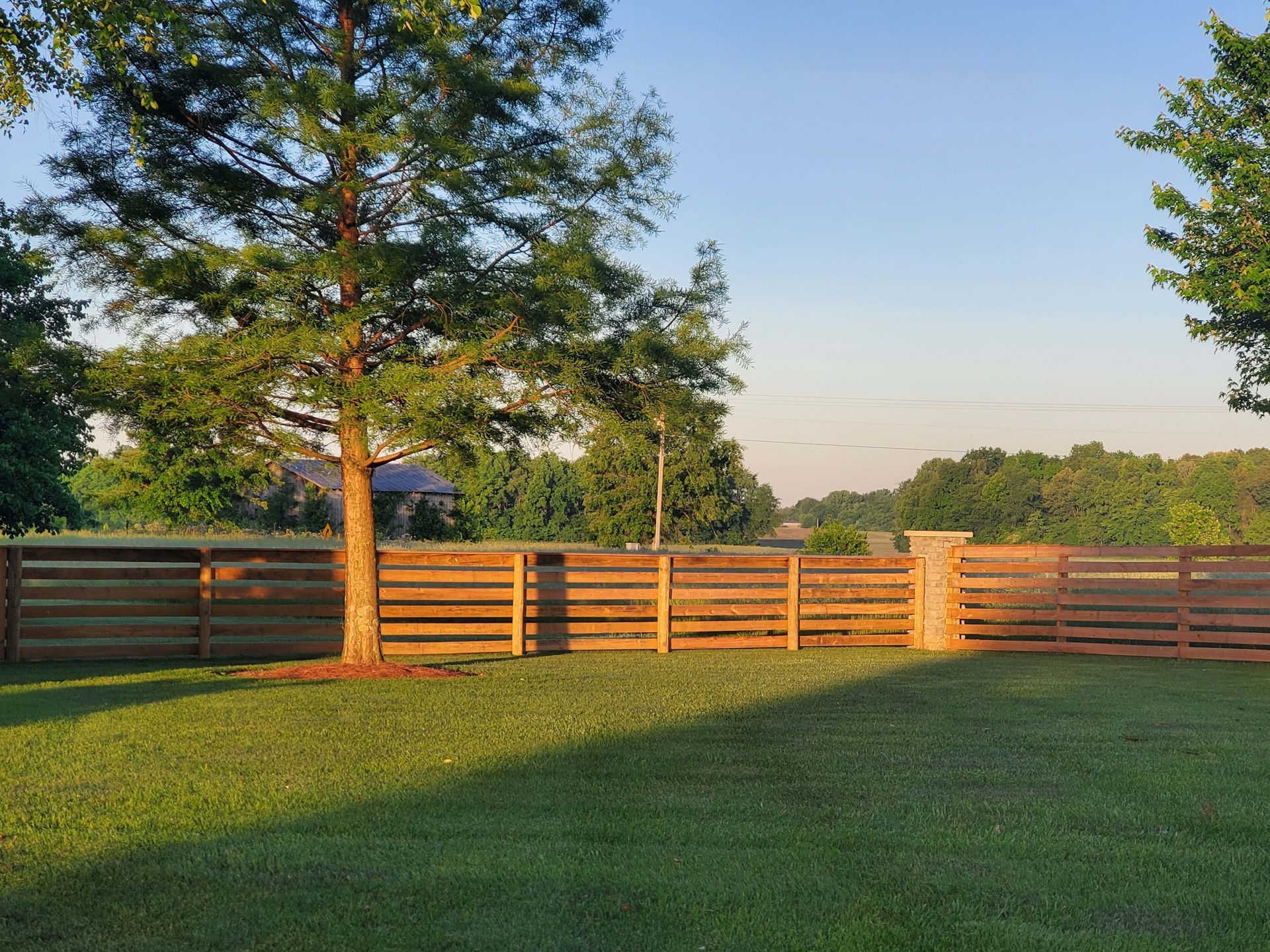 Wooden fence in a backyard with a tree, sunny sky, and green grass.