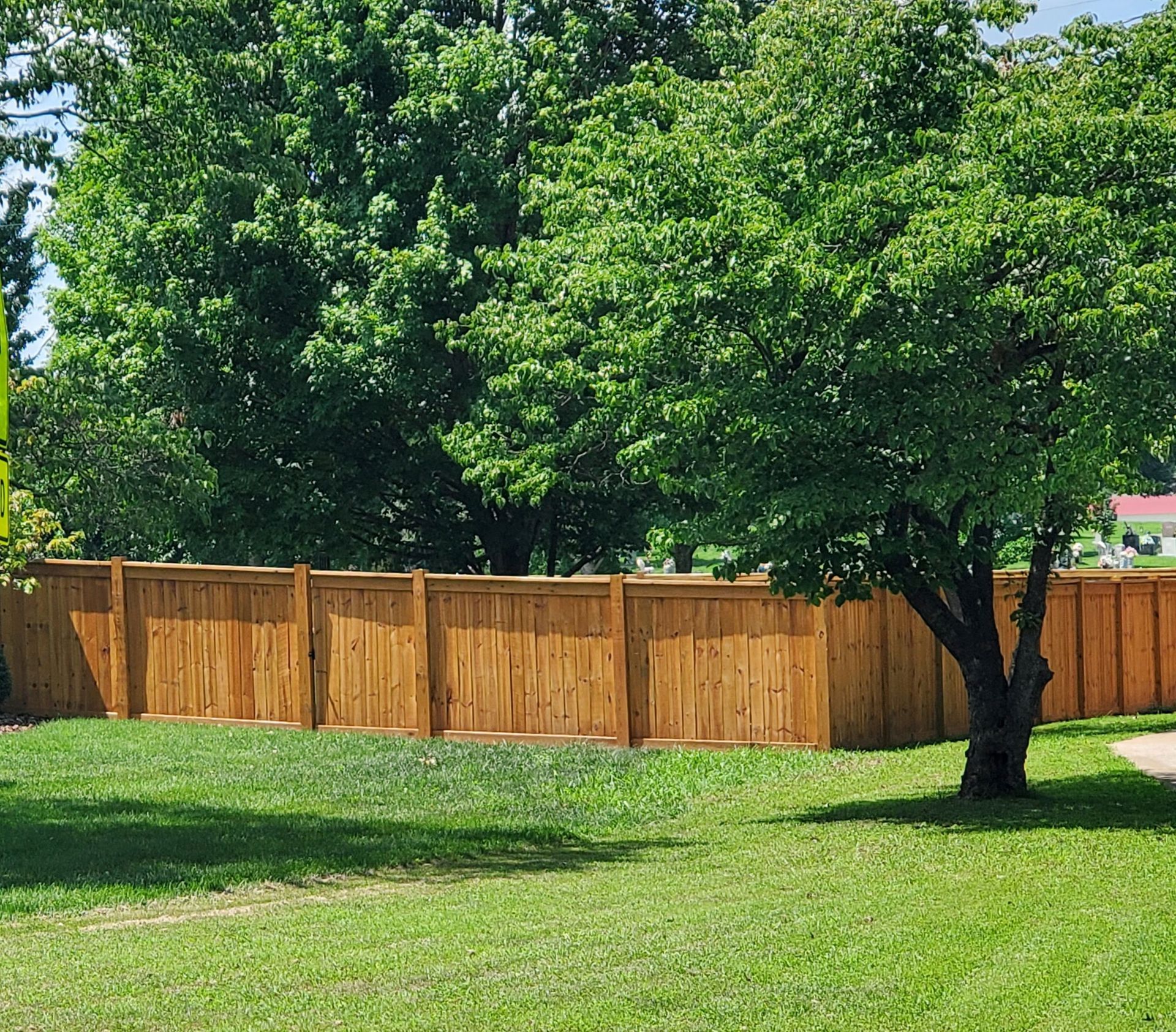 Wooden fence in front of a grassy yard with a tree. Green foliage and blue sky are visible.