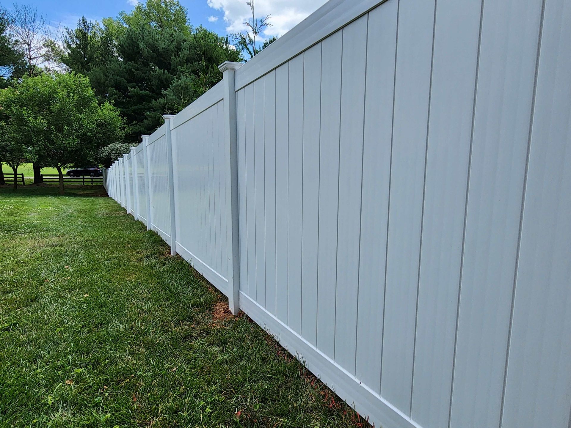 White vinyl fence along green grass, with trees and blue sky visible in the background.