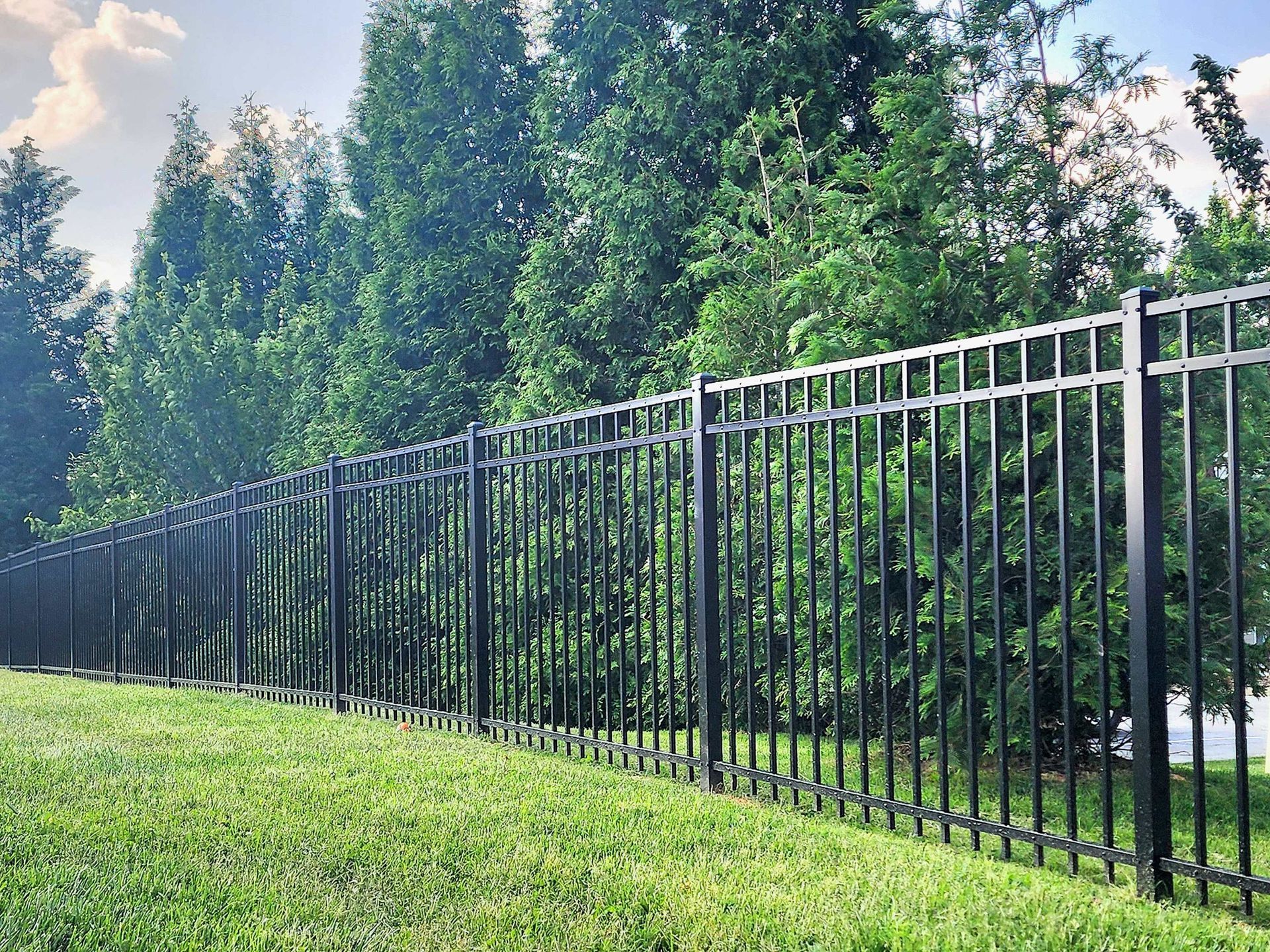 Black metal fence along a grassy hill with tall green trees in the background.