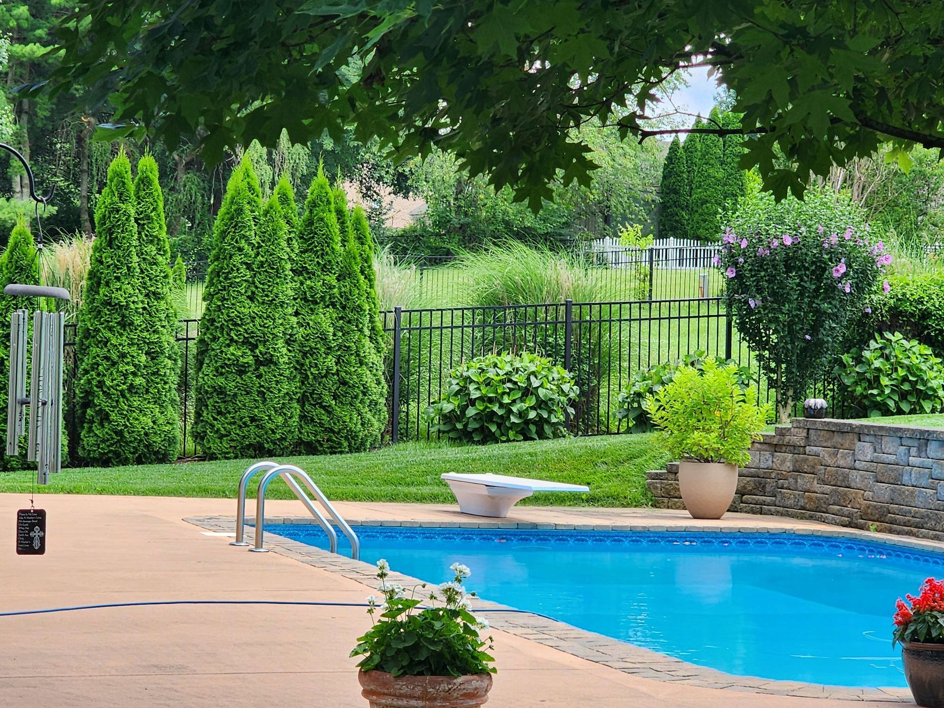 A backyard pool with a diving board, surrounded by greenery and a black fence.