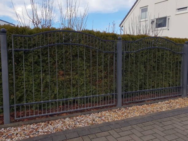 A metal fence surrounds a lush green hedge next to a brick sidewalk.