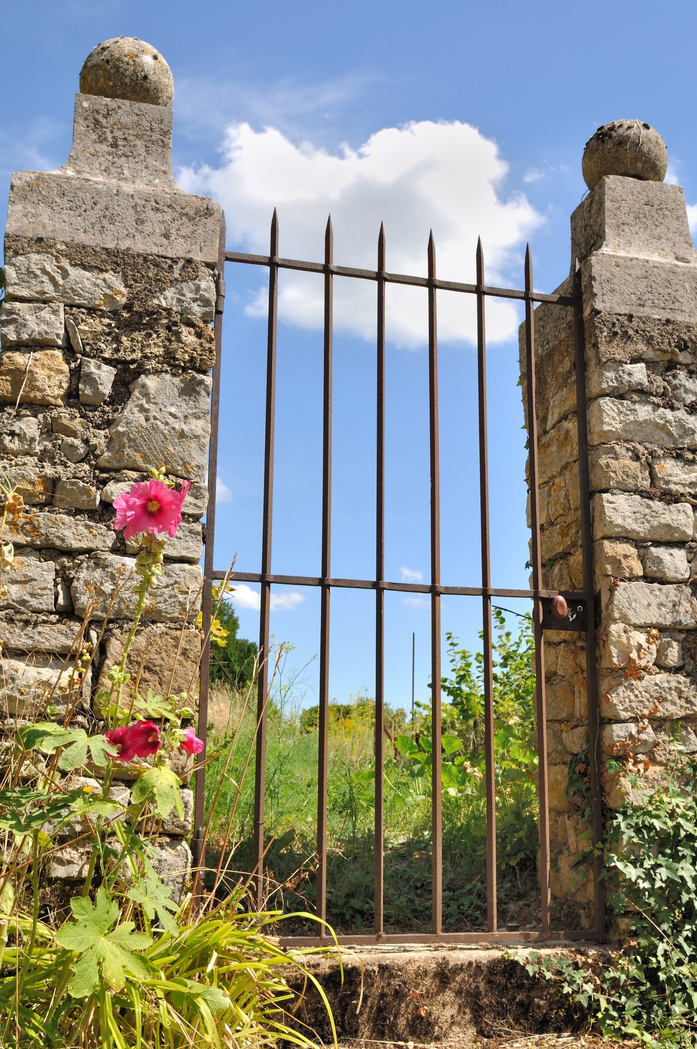 Stone gate with a wrought iron grill, leading to a garden on a sunny day.