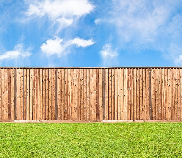 A wooden fence surrounds a lush green field with a blue sky in the background.