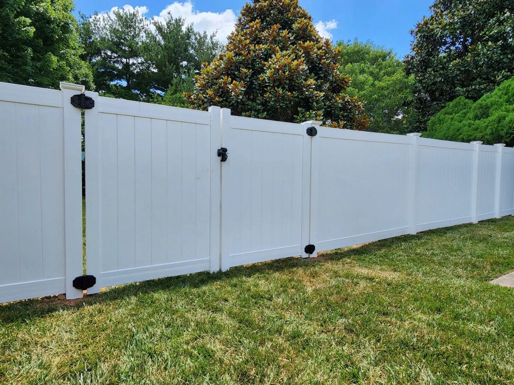White vinyl fence with black hardware in a grassy yard, trees in the background.