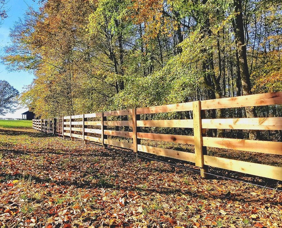 Wooden fence with fall foliage and trees in the background.