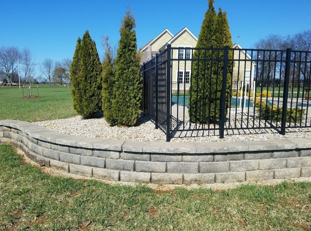 Stone retaining wall with arborvitae trees behind a black fence, green grass.