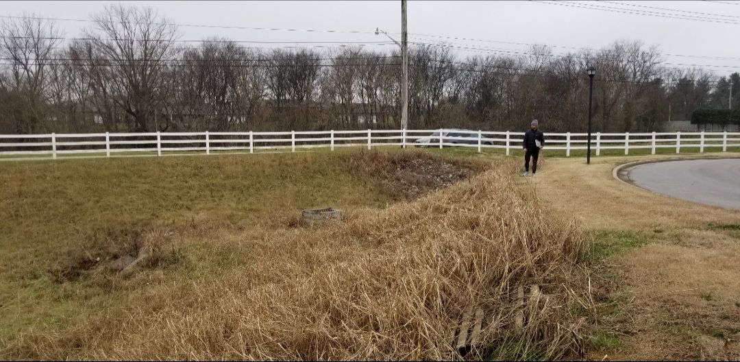 Person walking along a grassy roadside with a white fence and trees in the background. Overcast day.