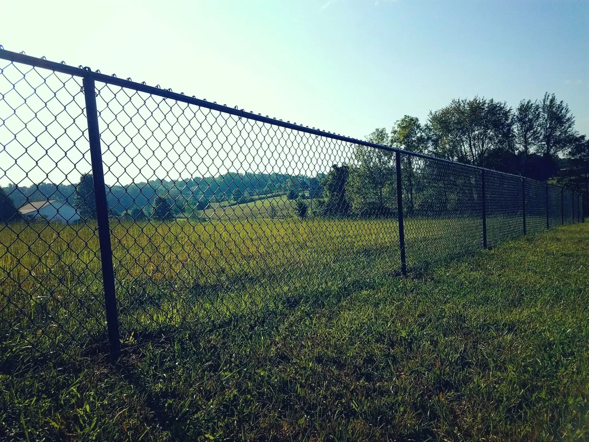 A close up of a chain link fence with trees in the background