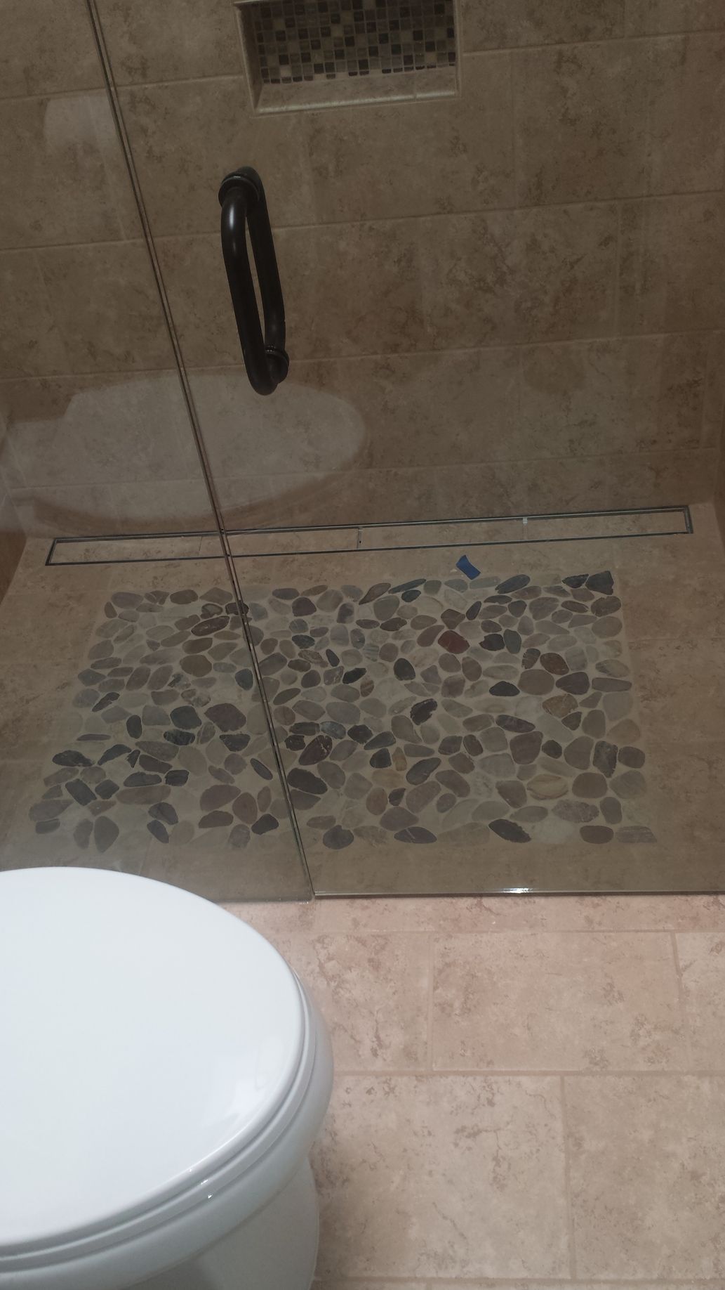 A bathroom with a toilet and a walk in shower with a glass door.