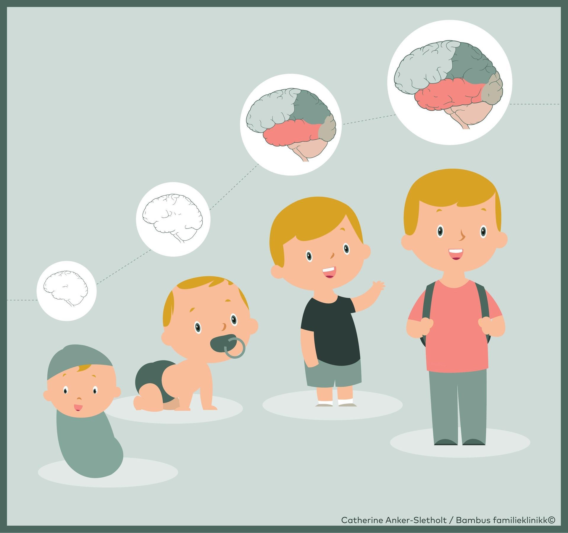 En illustrasjon som viser et menneske som utvikler seg fra spedbarnsalder til barndom, med hjerneutvikling avbildet i sirkulære ikoner.