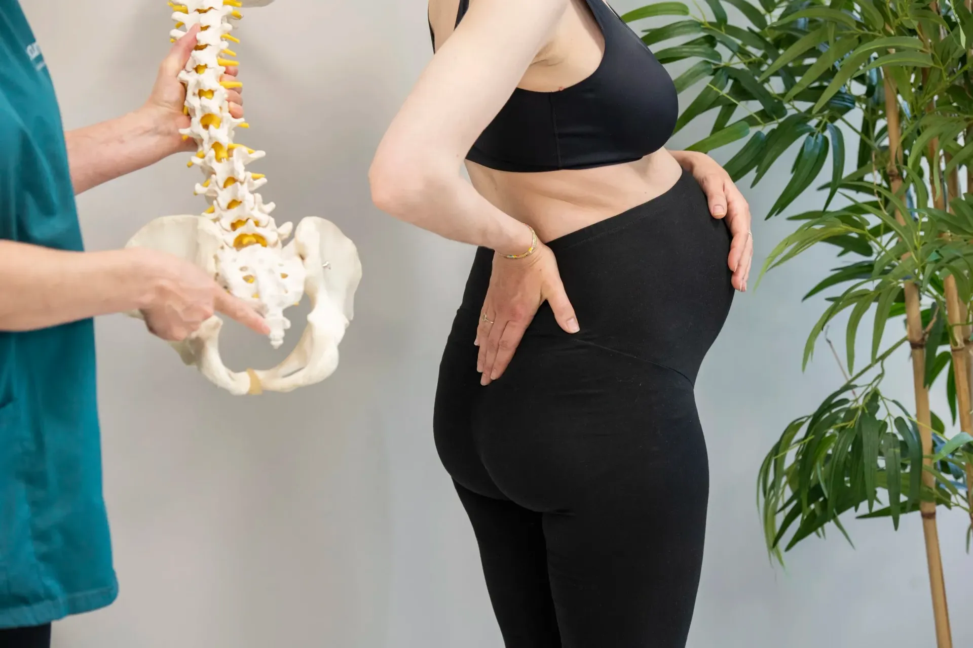 En utøver som holder en ryggmodell demonstrerer korsryggsmerter til en gravid person som holder korsryggen.