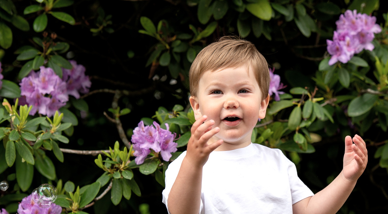 Et barn i hvit skjorte står foran lilla rhododendronblomster med hendene hevet.