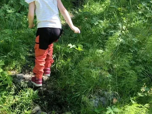 En person i hvit skjorte og oransje bukser går langs en smal grussti gjennom frodig grønt gress.