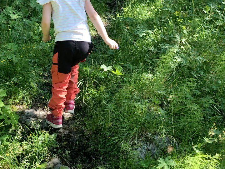 Et barn i hvit skjorte og tofargede oransje og svarte bukser går gjennom en gresskledd, solbelyst skog.