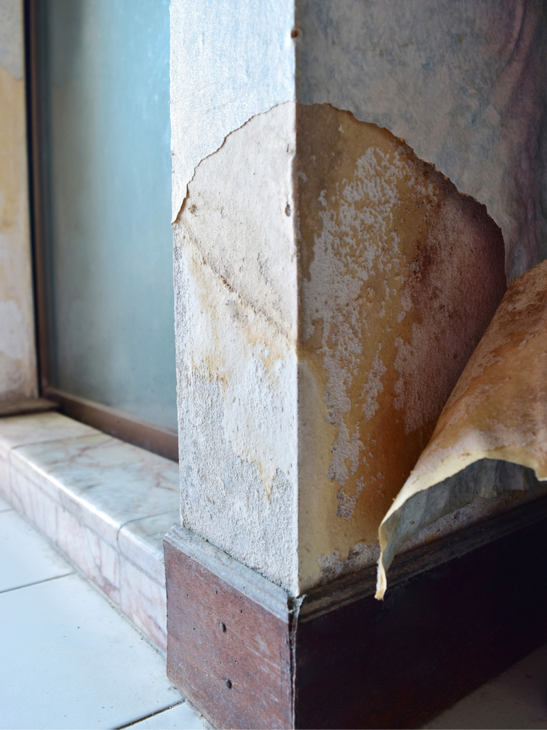 Professional mold remediation shows hidden mold behind wall paper.