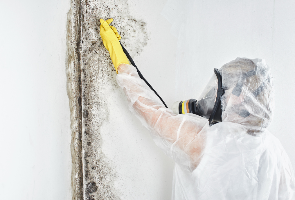 An image of a professional wearing protective clothing and a gas mask, doing mold remediation Boca Raton.