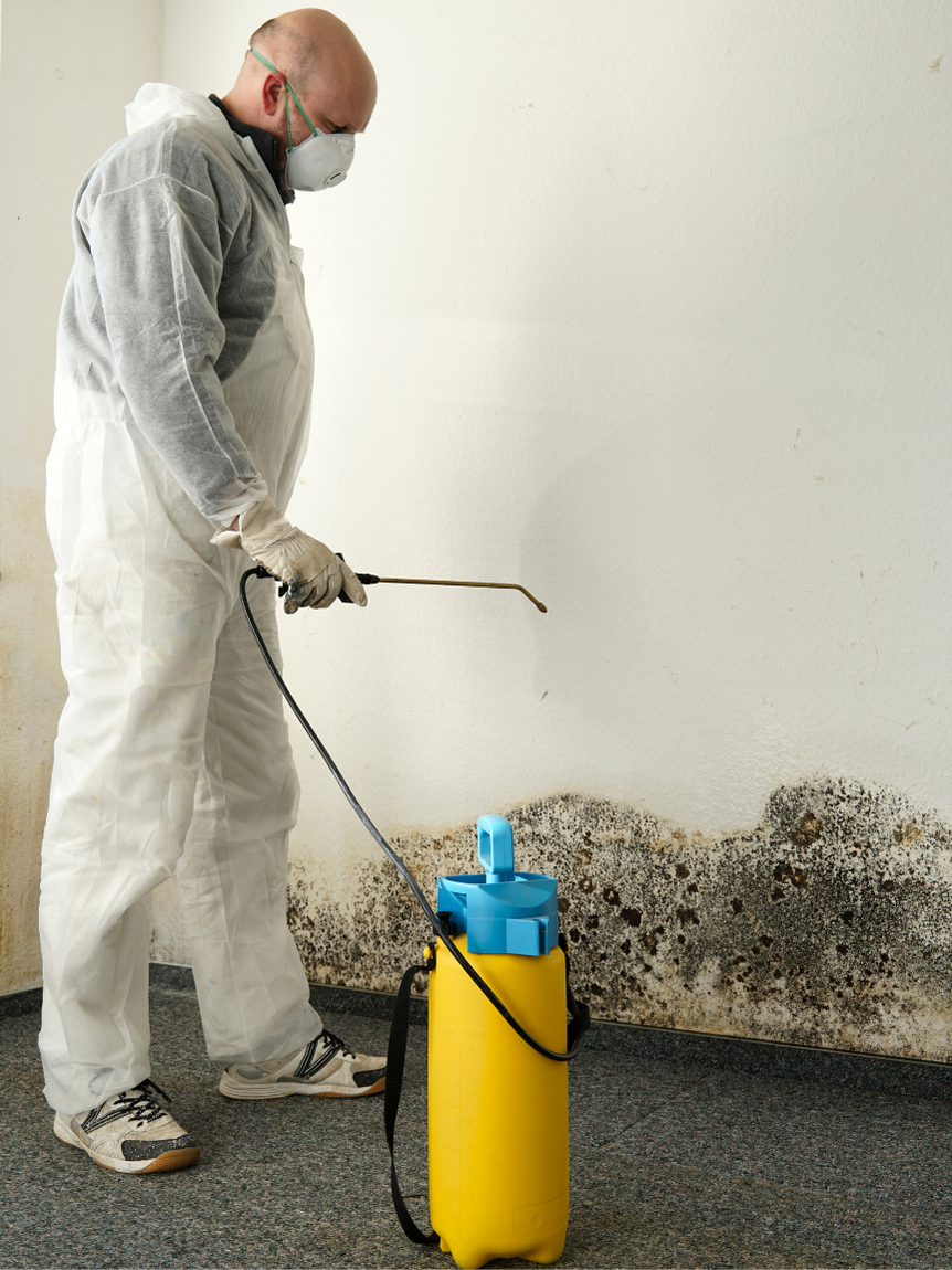Professional mold remediation and restoration for South Florida customers