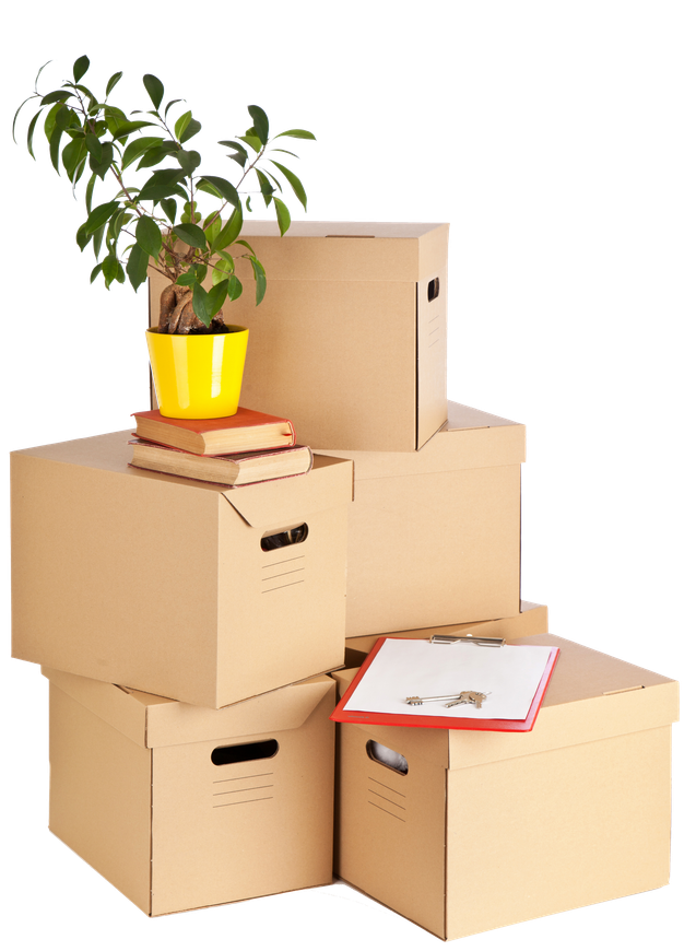 A stack of cardboard boxes with a potted plant on top of them. A stack of cardboard boxes with a potted plant on top of them.