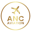A gold-colored logo featuring an airplane icon above the text 