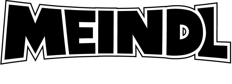 Logo Partner