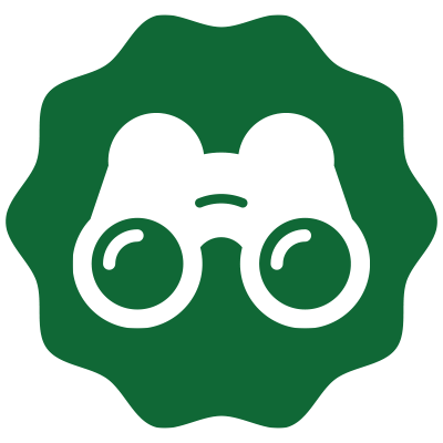 Icon Optik
