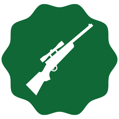 Icon Waffen
