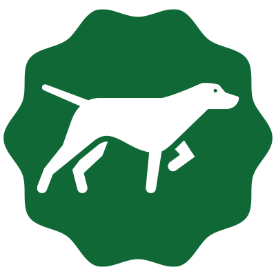 Icon Zubehör