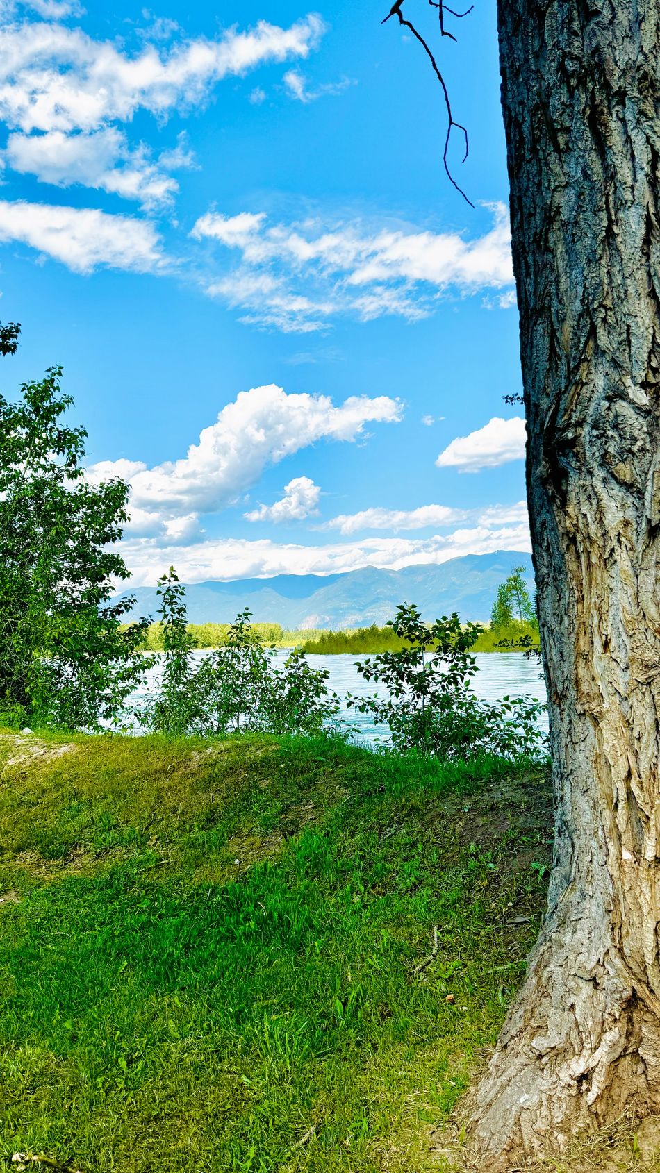 a sunny day with the flathead river and mountains in the background