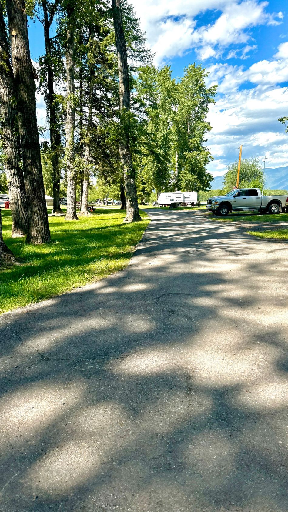 a white suv is parked on the side of a road in a park .