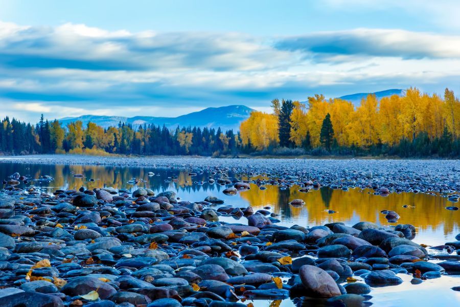 Flathead River