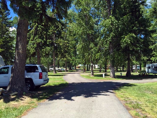 a white suv is parked on the side of a road in a park .